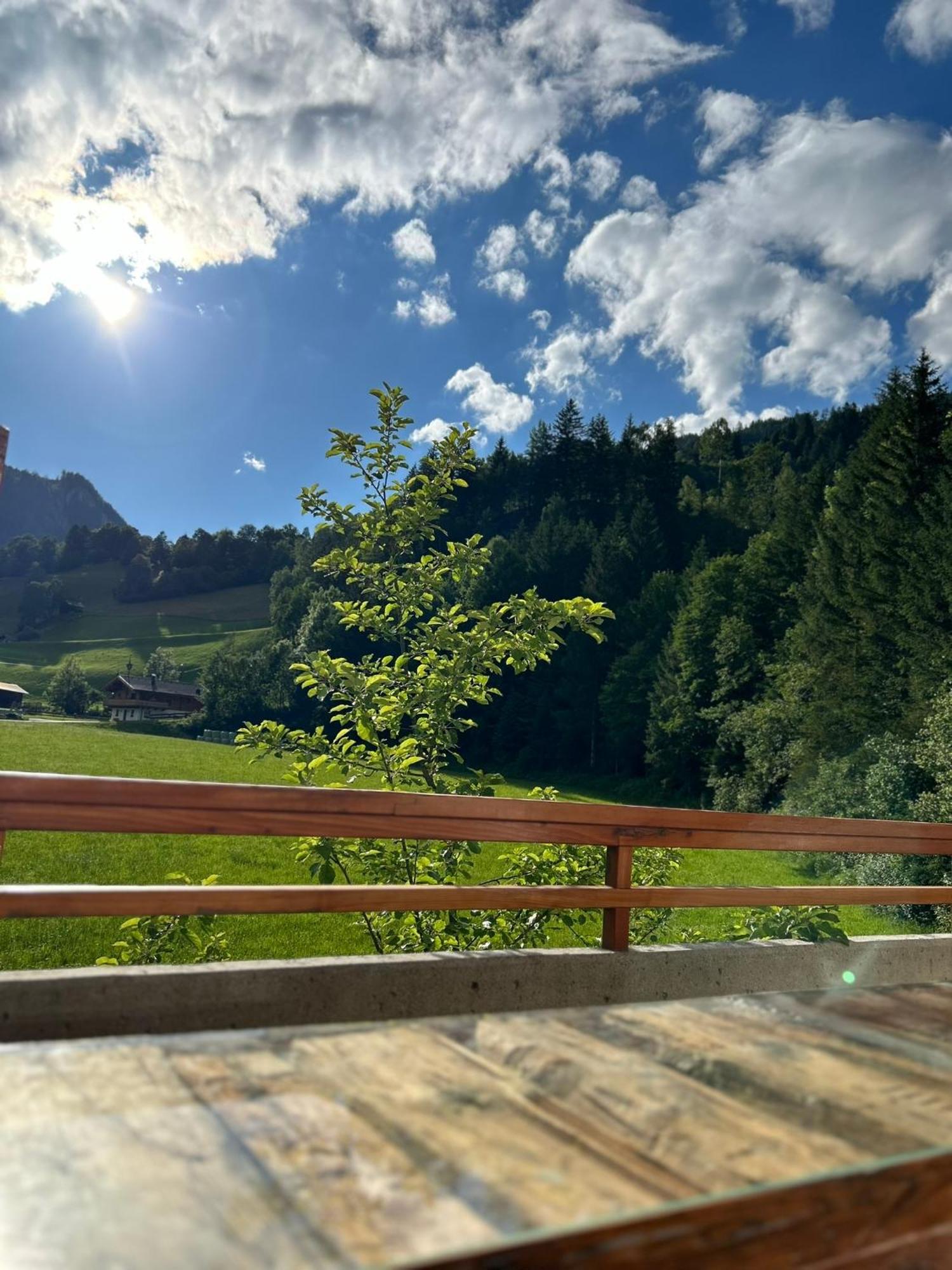 Bergblick Apartment Wald im Pinzgau Extérieur photo